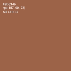 #9D6349 - Au Chico Color Image
